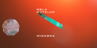 "Migawka" - Mela Koteluk [zapowiedź: płyta i trasa]