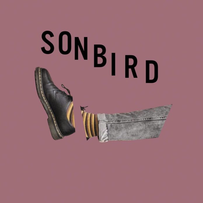 Sonbird zadebiutowali - album Głodny już dostępny