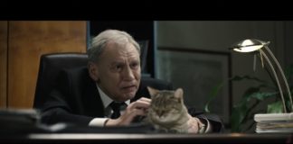 Polityka - Prezes i jego kot