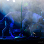 Łąki Łan w Poznaniu (12.09.2020)