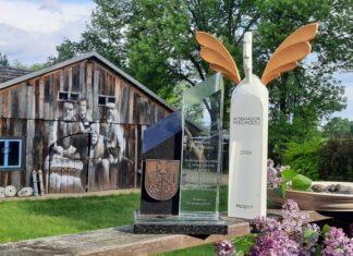 CieszFanów Festiwal bez festiwalowego