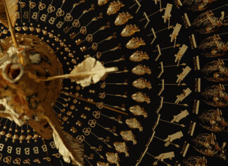 ROCH powraca z nowym