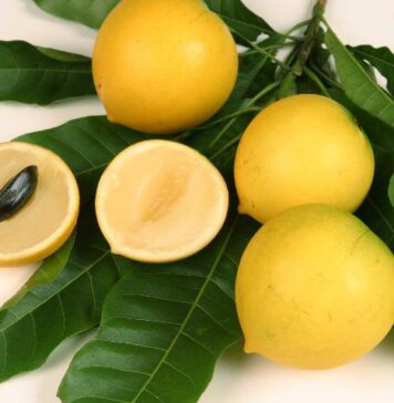 Korzyści zdrowotne owocu abiu