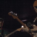 fot. Agata Bychowska Bluszcz