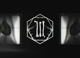 Insanitarium