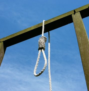 Zwierzęta skazane na karę śmierci