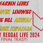 PUNKY REGGAE LIVE