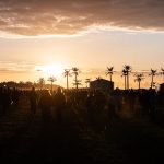 Martin Garrix, LP, Kneecap, Matt Berninger i ¥ØU$UK€ ¥UK1MAT$U na Open’erze 2026!