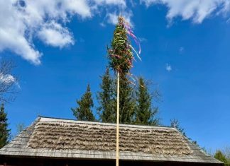 Drzewko moja w skansenie w Zubrzycy Górnej