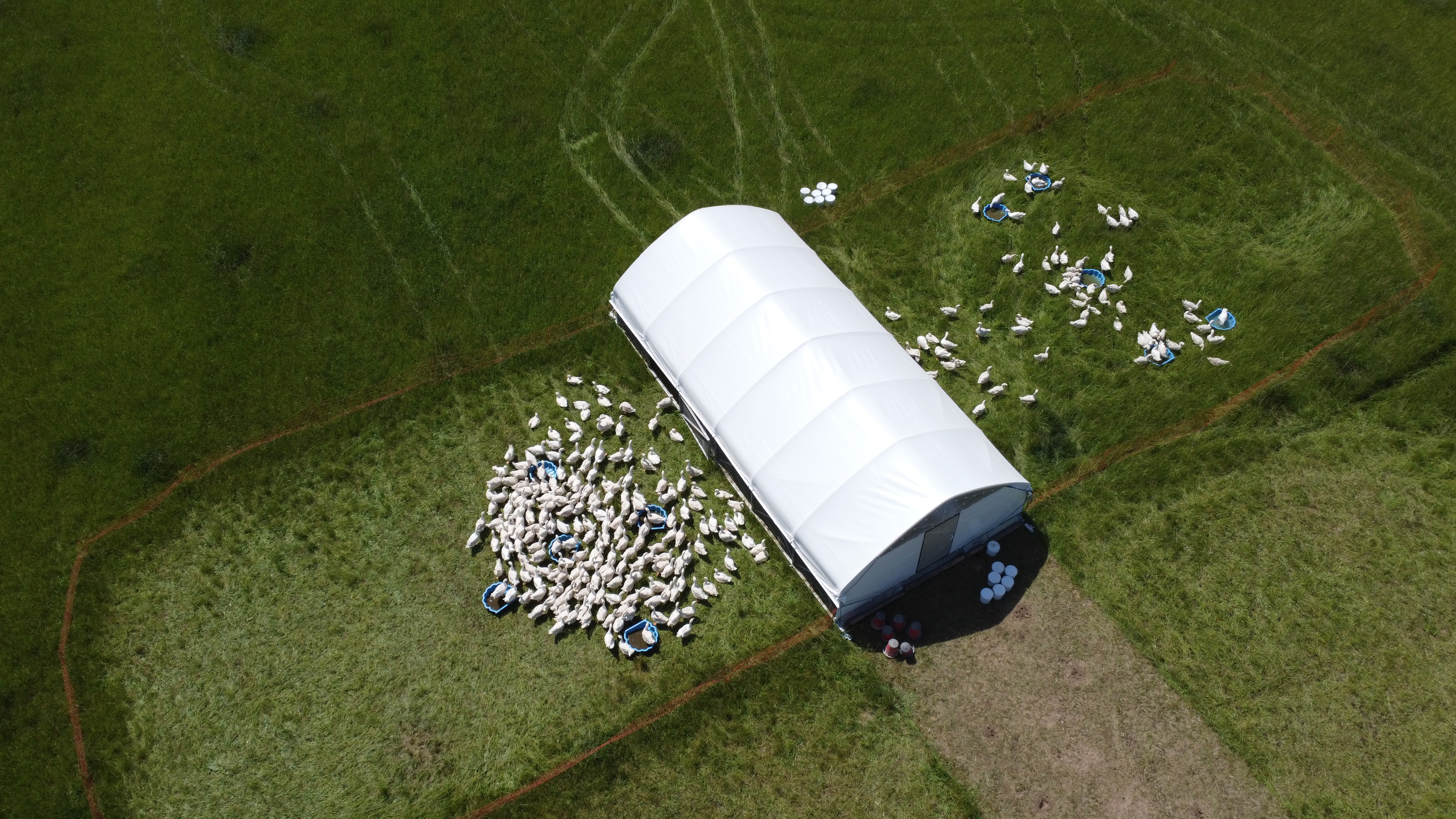 Dlaczego warto wspierać rolnictwo ekologiczne? Historia jednego gospodarstwa z Dolnego Śląska