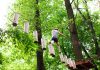 Dimbo Adventure Park