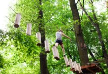 Dimbo Adventure Park