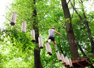 Dimbo Adventure Park