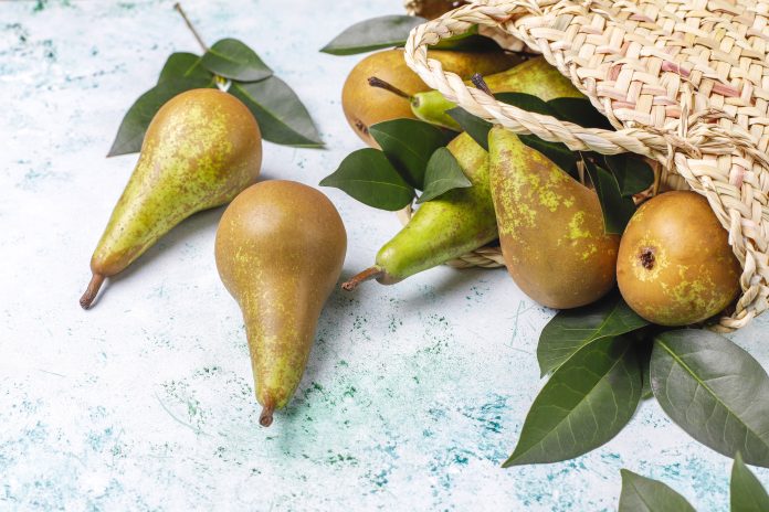 Fresh organic farm fruits,pears,quince,top view gruszki