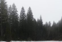 Morsowanie, co trzeba wiedzieć