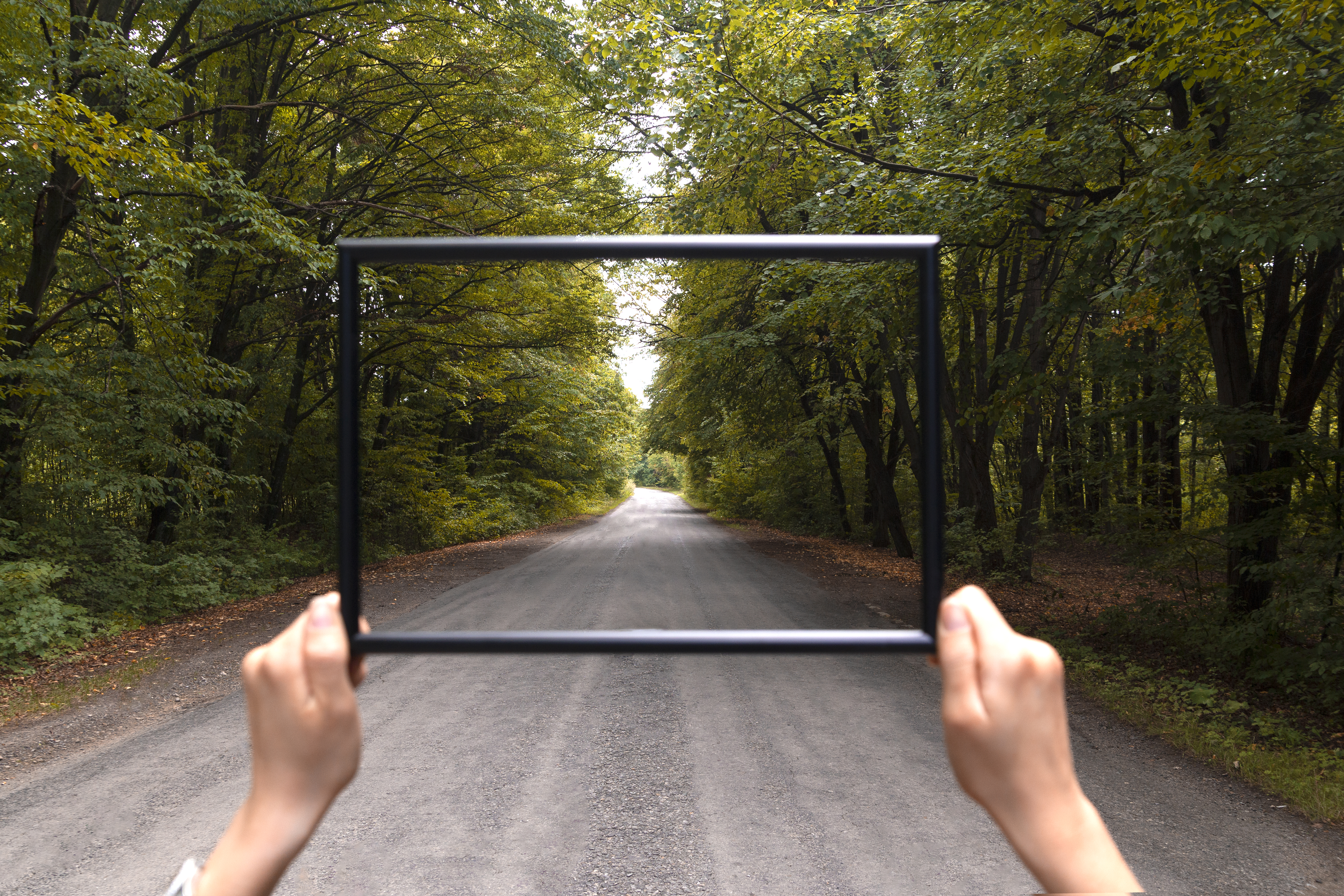 Świat przez filtr własnych przekonań – efekt potwierdzenia