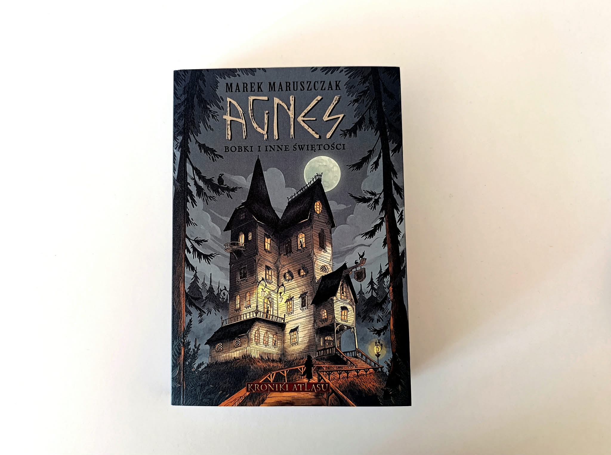 Świat, w którym chomik jest bogiem wojny. Recenzja książki Agnes. Bobki i inne świętości