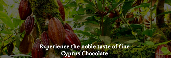 Zrzut ekranu 2026-03-26 o 22.53.18