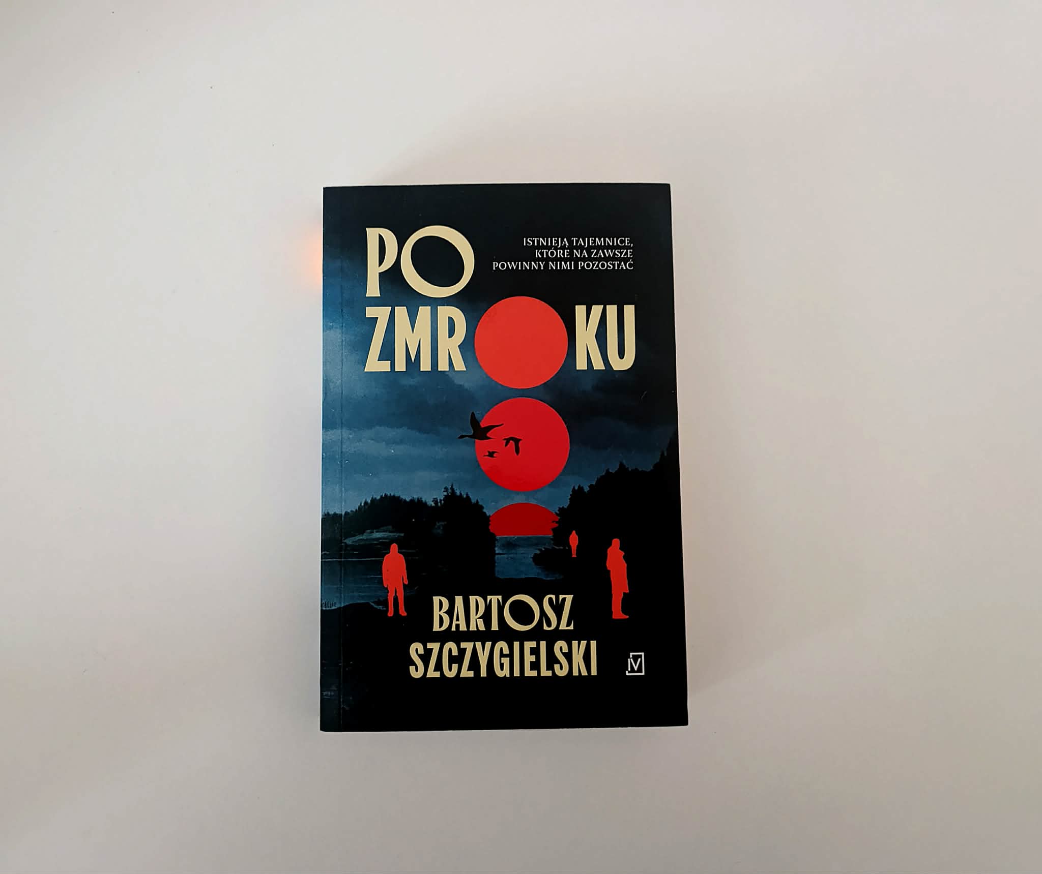 Las, który pochłania. Recenzja książki Po Zmroku
