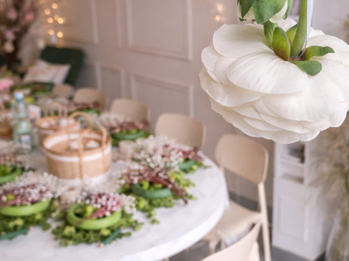 InShot_20260408_154051582