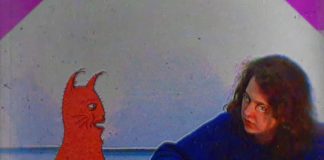 Kraina Grzybów - Dreamcore