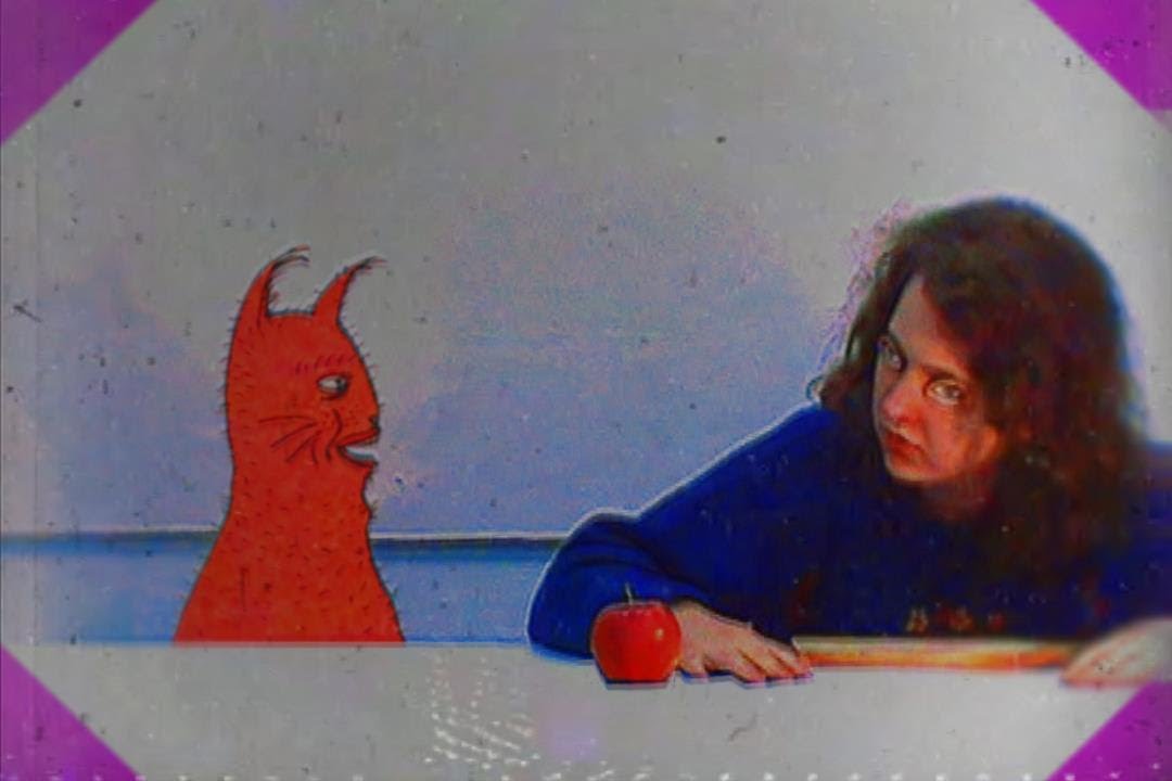 Kraina Grzybów – Dreamcore