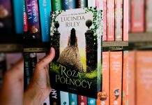 Róża północy