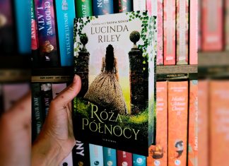 Róża północy