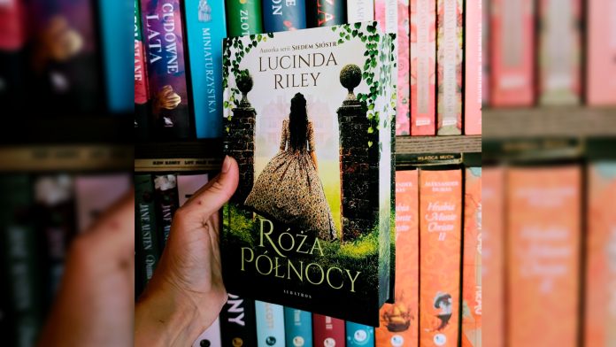 Róża północy