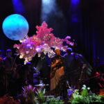 fot. Agnieszka Grabuś Anita Lipnicka, Oława. Fot. A. Grabuś