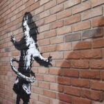 fot. Jagoda Dobrzyńska