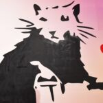 fot. Jagoda Dobrzyńska