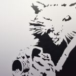 fot. Jagoda Dobrzyńska