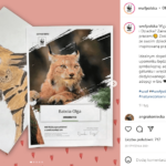 fot. instagram.com/wwfpolska Certyfikaty adopcji WWF