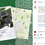 fot. instagram.com/wwfpolska Certyfikaty adopcji WWF