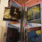 fot. Jagoda Dobrzyńska