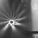 fot. Jagoda Dobrzyńska