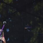 fot. Jagoda Dobrzyńska